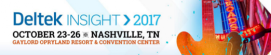 Deltek Insight 2017