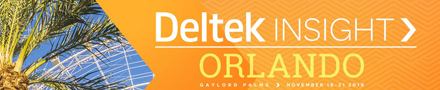 Deltek Insight 2019