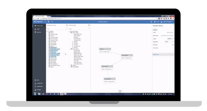 IBM Planning Analytics with Watson (TM1) screen capture