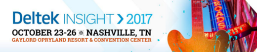 Deltek Insight 2017